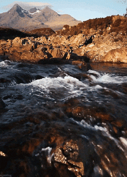 Click to Enlarge

Name: giphy.gif
Size: 406 KB