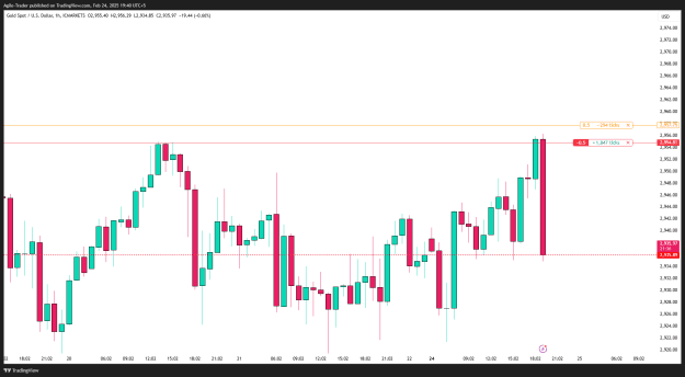 Click to Enlarge

Name: XAUUSD_2025-02-24_19-40-24.png
Size: 23 KB