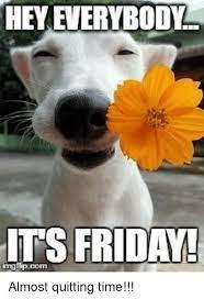 Click to Enlarge

Name: Friday.jpeg
Size: 9 KB