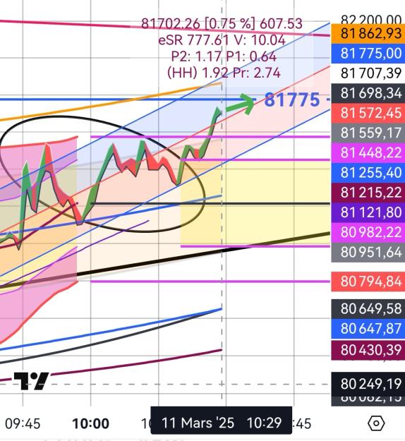 Click to Enlarge

Name: BTCUSD(1mn)_20250311_1029.jpg
Size: 332 KB