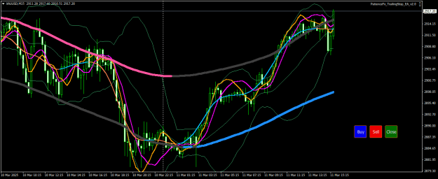Click to Enlarge

Name: XAUUSDM15.png
Size: 28 KB
