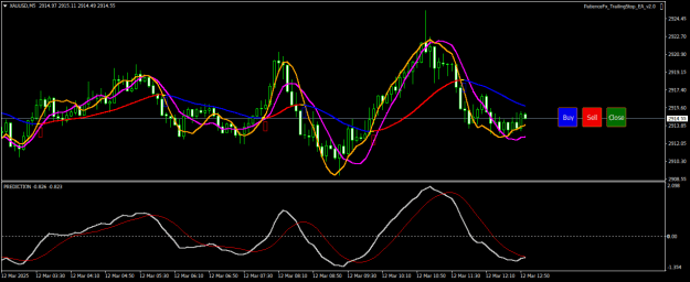 Click to Enlarge

Name: XAUUSDM5.png
Size: 21 KB
