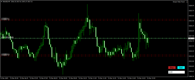 Click to Enlarge

Name: XAUUSDM5.png
Size: 15 KB