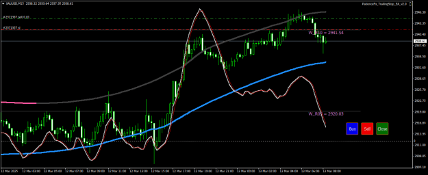 Click to Enlarge

Name: XAUUSDM15.png
Size: 21 KB