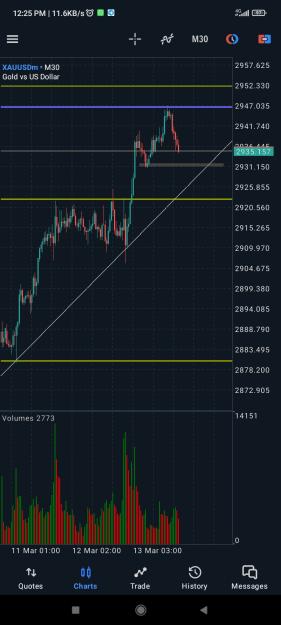 Click to Enlarge

Name: Screenshot_2025-03-13-12-25-01-940_net.metaquotes.metatrader5.jpg
Size: 321 KB