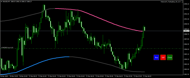 Click to Enlarge

Name: XAUUSDM5.png
Size: 15 KB