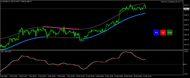 Click to Enlarge

Name: XAUUSDH1.png
Size: 16 KB