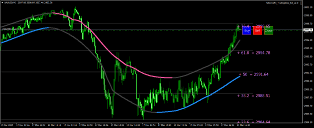 Click to Enlarge

Name: XAUUSDM1.png
Size: 22 KB