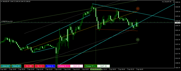 Click to Enlarge

Name: XAUUSDM5.png
Size: 21 KB