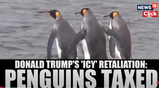 Click to Enlarge

Name: Penguins Taxed.JPG
Size: 56 KB