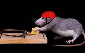 Click to Enlarge

Name: Maus.jpeg
Size: 6 KB