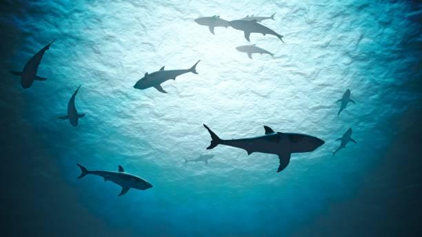 Click to Enlarge

Name: istockphoto-1151479396-612x612.jpg
Size: 25 KB