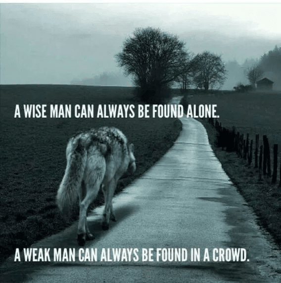Click to Enlarge

Name: c8537246ab2ad8.png
Size: 146 KB