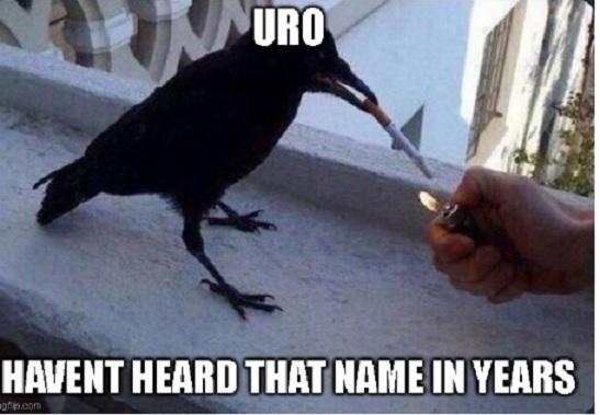 Click to Enlarge

Name: havent heard that in years.jpg
Size: 63 KB