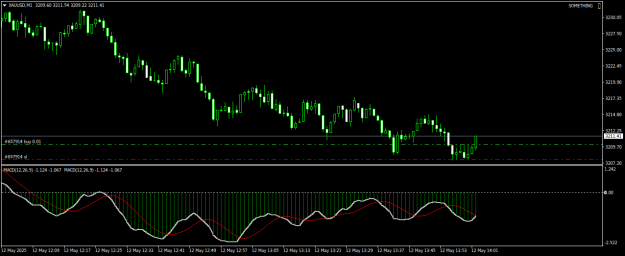 Click to Enlarge

Name: XAUUSDM1.png
Size: 15 KB