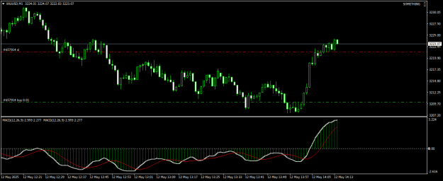 Click to Enlarge

Name: XAUUSDM1.png
Size: 14 KB