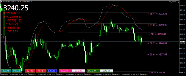 Click to Enlarge

Name: XAUUSDM15.png
Size: 26 KB