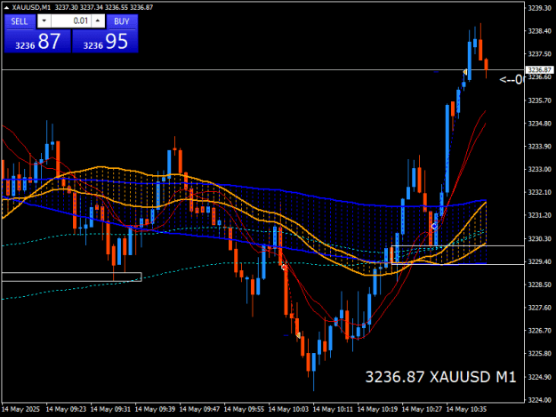 Click to Enlarge

Name: XAUUSDM1.png
Size: 18 KB