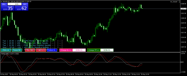 Click to Enlarge

Name: XAUUSDM5.png
Size: 23 KB