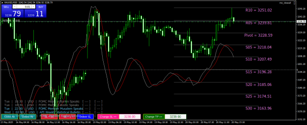 Click to Enlarge

Name: XAUUSDM30.png
Size: 33 KB