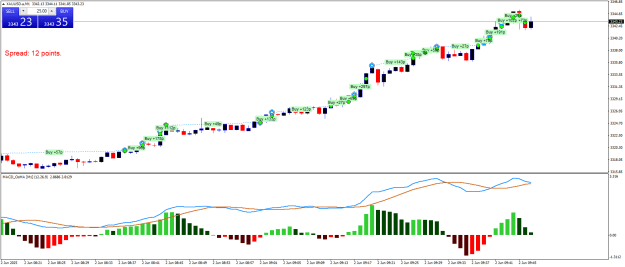 Click to Enlarge

Name: XAUUSD.aM1.png
Size: 21 KB
