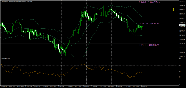 Click to Enlarge

Name: BTCUSDH1.png
Size: 26 KB