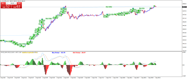 Click to Enlarge

Name: XAUUSD.aM1.png
Size: 29 KB