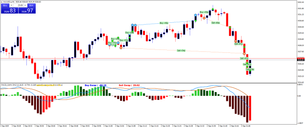 Click to Enlarge

Name: XAUUSD.aM1.png
Size: 23 KB
