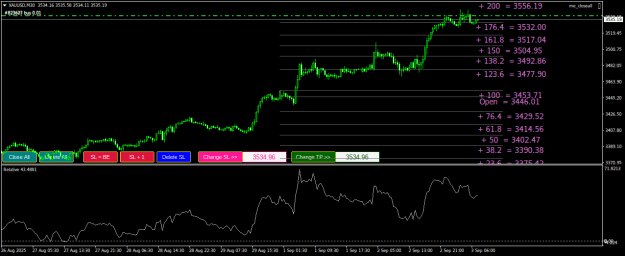 Click to Enlarge

Name: XAUUSDM30.png
Size: 25 KB