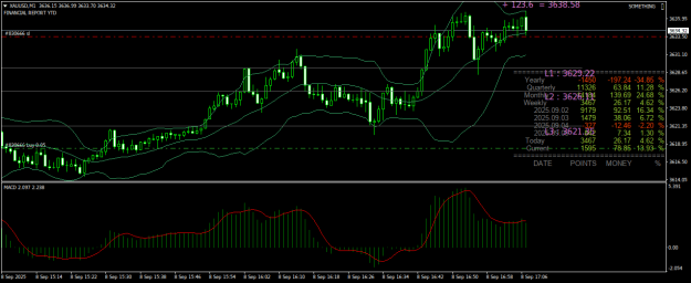 Click to Enlarge

Name: XAUUSDM1.png
Size: 28 KB