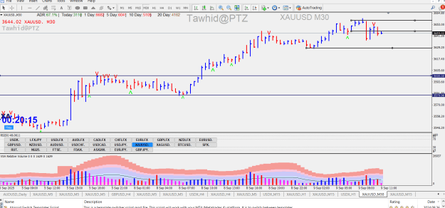 Click to Enlarge

Name: GOLD DOL RB SSR EF EZ 4H 1H PVA NDNS  PTZ.png
Size: 44 KB