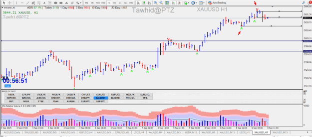 Click to Enlarge

Name: GOLD DOL RB SSR EZ 4H 1H PVA NDNS  PTZ.png
Size: 41 KB