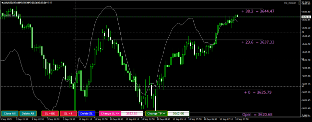 Click to Enlarge

Name: XAUUSDM5.png
Size: 22 KB
