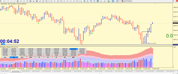 Click to Enlarge

Name: GOLD SSR EZ EG EF EVR QM DM NDNS CBR 5M CAB FMCBR  5M CABc PTZ.png
Size: 35 KB