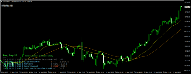 Click to Enlarge

Name: XAUUSDH1.png
Size: 23 KB