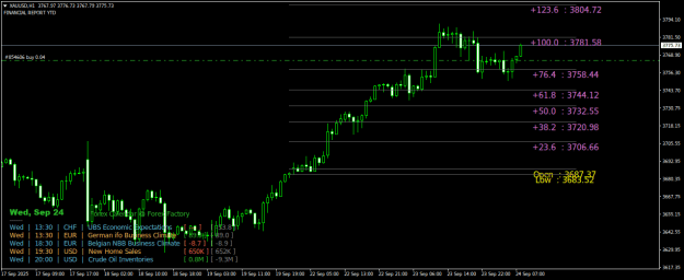 Click to Enlarge

Name: XAUUSDH1.png
Size: 28 KB