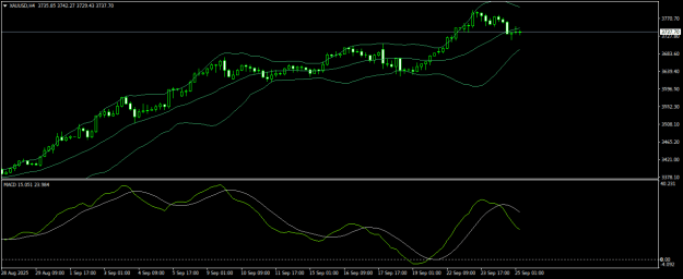 Click to Enlarge

Name: XAUUSDH4.png
Size: 15 KB