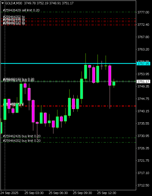 Click to Enlarge

Name: GOLD#M30 2509g.png
Size: 6 KB