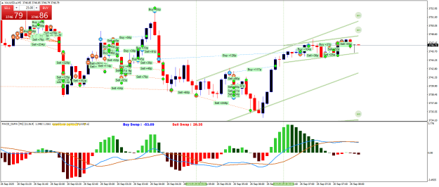Click to Enlarge

Name: XAUUSD.aM5.png
Size: 35 KB