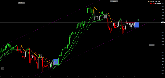 Click to Enlarge

Name: XAUUSD+H1.png
Size: 30 KB