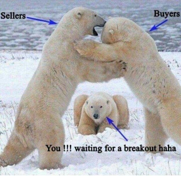Click to Enlarge

Name: buyseel.jpg
Size: 68 KB