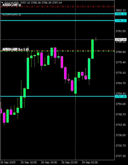 Click to Enlarge

Name: GOLD#M30 2909.png
Size: 5 KB
