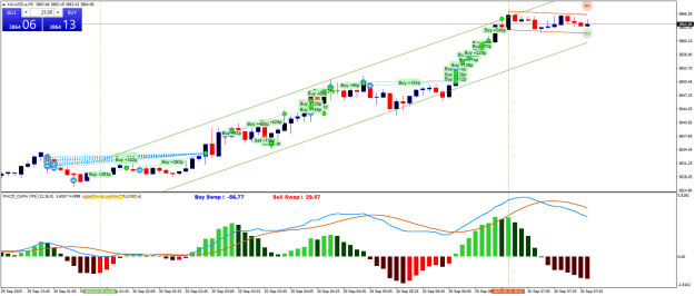 Click to Enlarge

Name: XAUUSD.aM5.png
Size: 30 KB