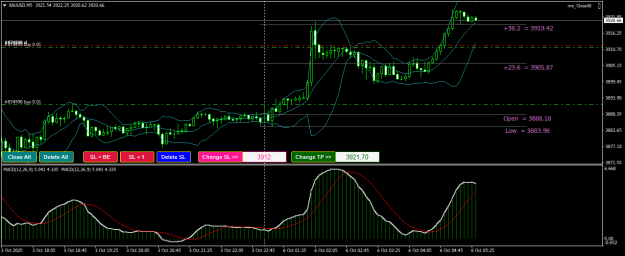 Click to Enlarge

Name: XAUUSDM5.png
Size: 24 KB