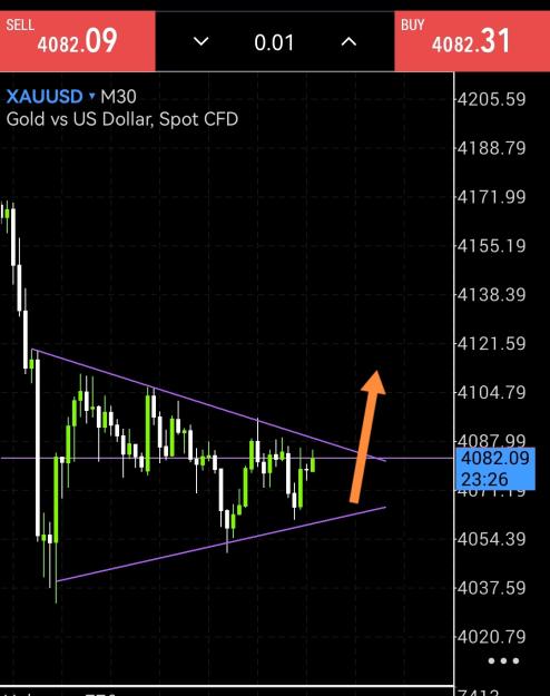 Click to Enlarge

Name: Screenshot_20251117_163634_net.metaquotes.metatrader5_edit_137431974455070.jpg
Size: 201 KB