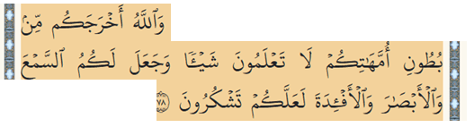 Click to Enlarge

Name: screenshot.png
Size: 17 KB