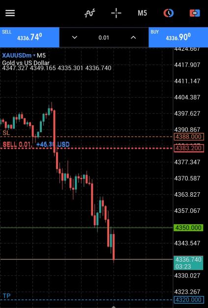 Click to Enlarge

Name: 0102trade_aft.jpg
Size: 421 KB