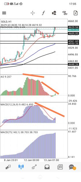 Click to Enlarge

Name: Screenshot_2026-01-13-17-05-01-088_net.metaquotes.metatrader4-edit.jpg
Size: 618 KB