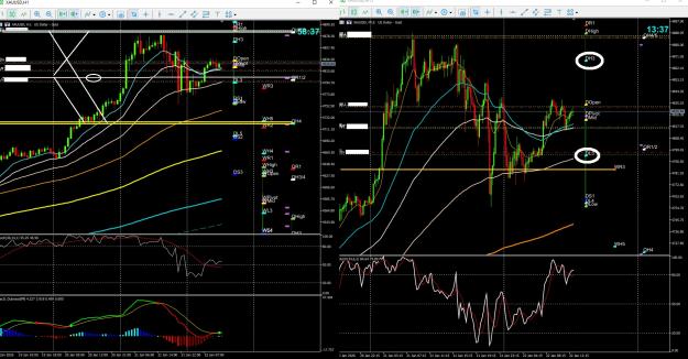 Click to Enlarge

Name: gold 6 .jpg
Size: 480 KB