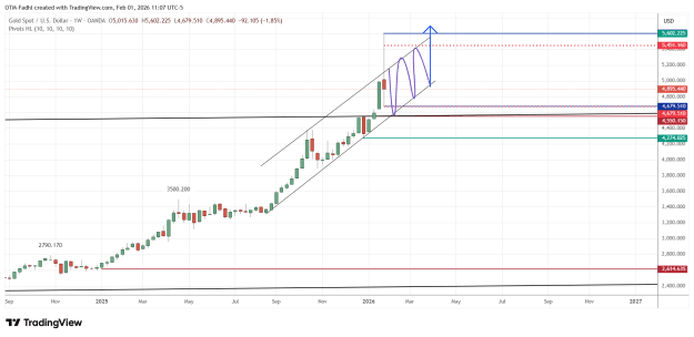 Click to Enlarge

Name: XAUUSD_2026-02-01_11-07-39.png
Size: 41 KB